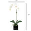 Orchid Arrangement In Vase-1326828204-1326828207