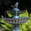 Bain d'oiseaux fontaine-1545641468