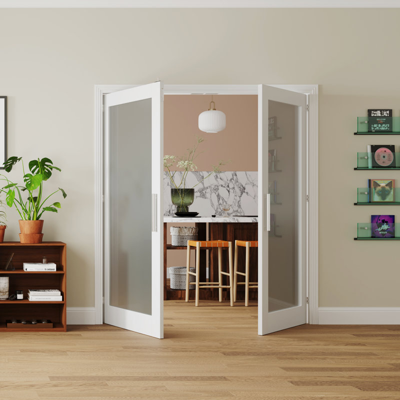 Intérieur de la porte de garde-robe moderne en verre givré avec portes françaises, 48 po x 80 po