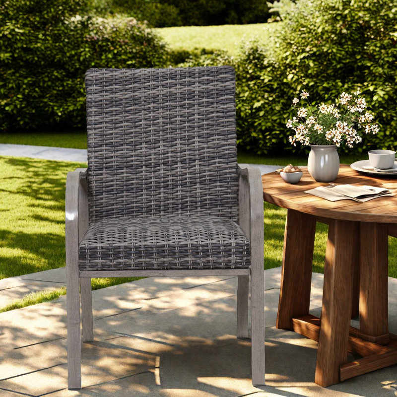 Chaises de salle à manger de patio confortables, osier acrylique en acier, moderne pour le bord de la piscine de jardin