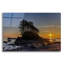 'Botany Bay Sunset' by Tim Oldford, Acrylic Glass Wall Art,-918582474