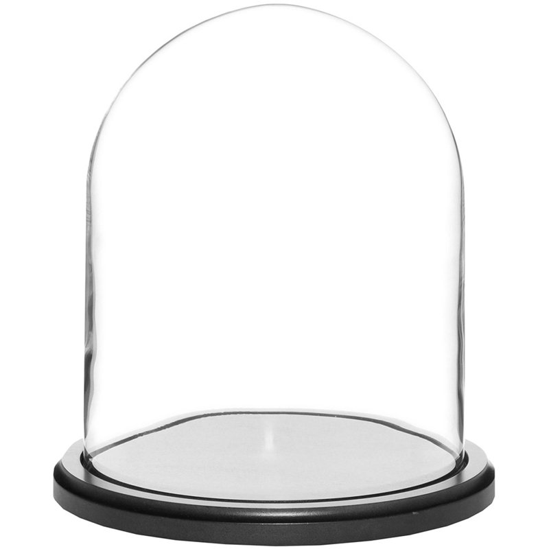 Cloche en verre Jenett, Structure noire en bois, H 10,25 po x l 8 po x P 8 po