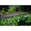 Danyell Wood Raised Garden Bed-1337017785