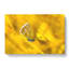 Yellow Butterfly - Wrapped Canvas-56637990
