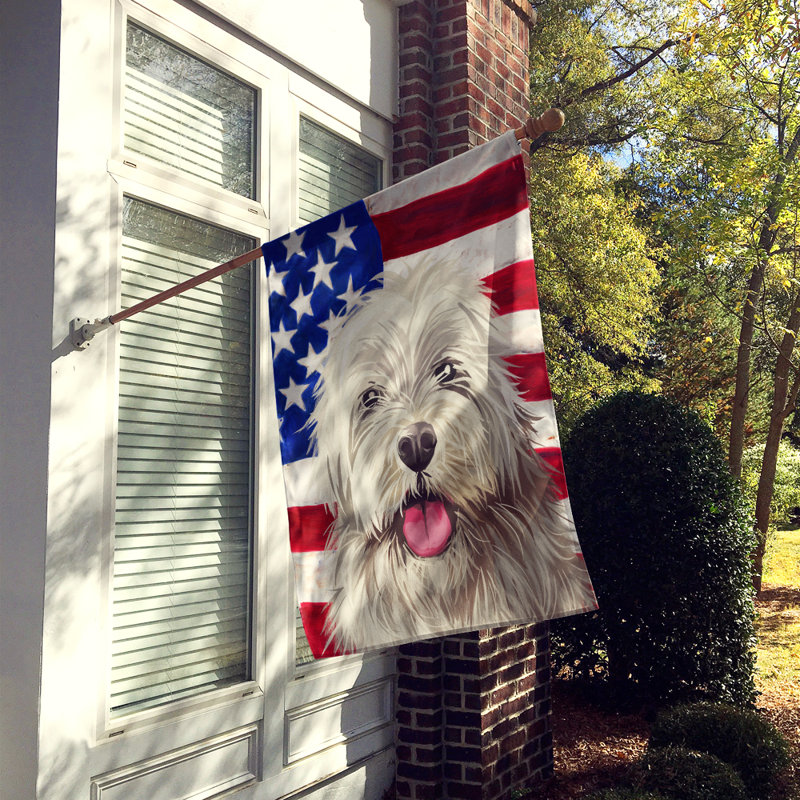 Polyester à 2 côtés 28 x 40 po drapeau maison, Sapsali