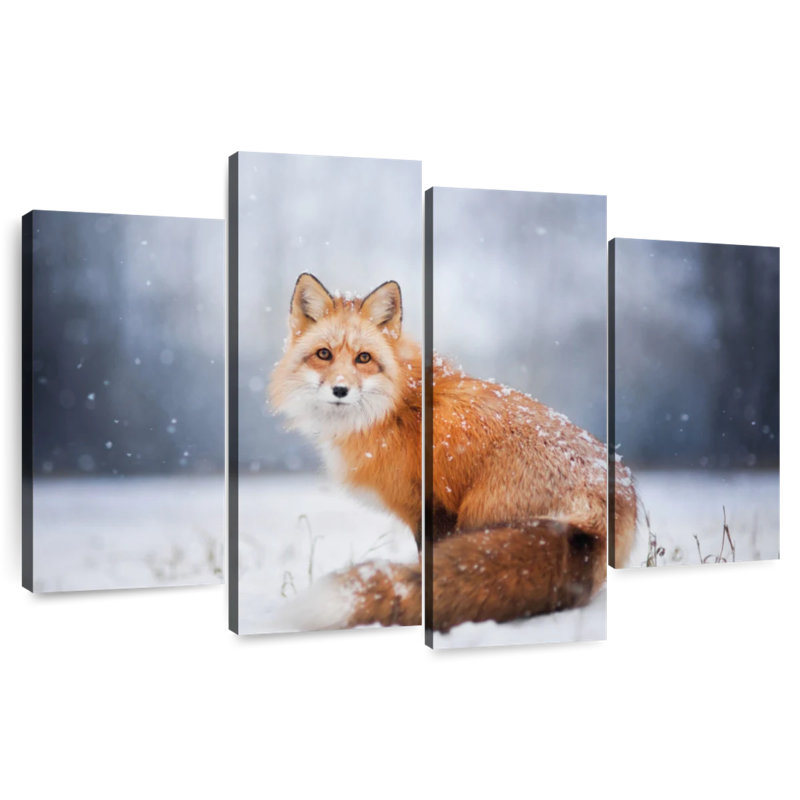 Little Red Fox Portrait