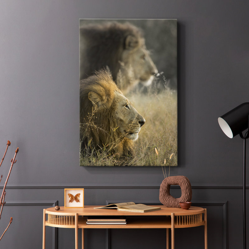 Lions au soleil du matin - Cavas enveloppés de galerie, H 27 po x l 18 po