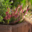 Planter Box-33400095