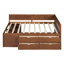 Lit de jour avec tiroirs et tablettes-429954215-429954213