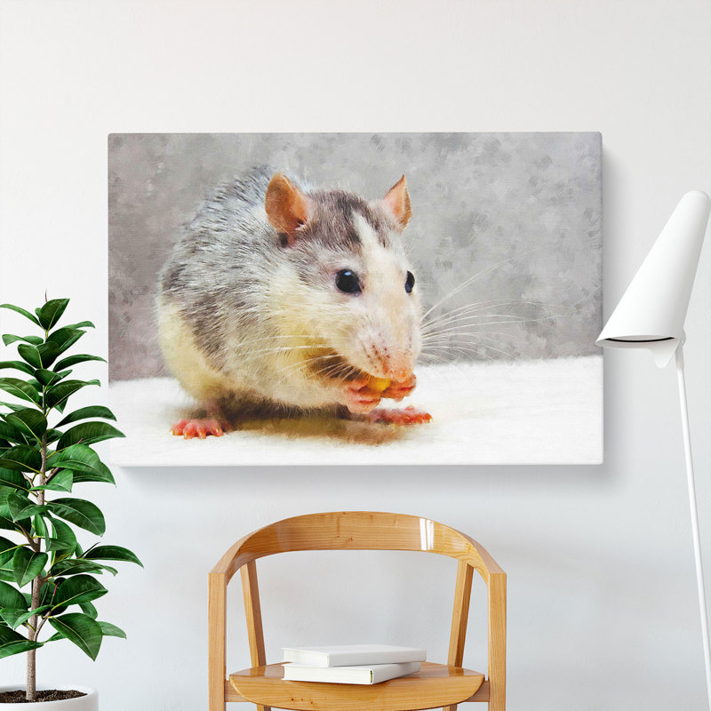 Rat - Wrapped Canvas, 35cm H x 50cm W x 3cm D