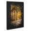 Sunlight Through the Forest - Wrapped Canvas-56641089