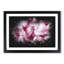 Beautiful Pink Carnation Petals - Single Picture Frame Print on MDF-56891505-56891499