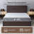 Walnut Wooden Bed with Headboard,USB Port,4 Storage Drawers-367448306