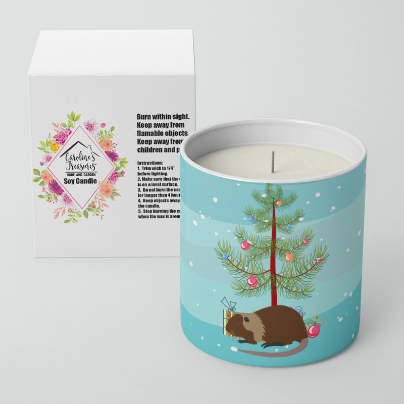 Pine / Christmas Tree Scented Jar Candle with Ceramic Holder