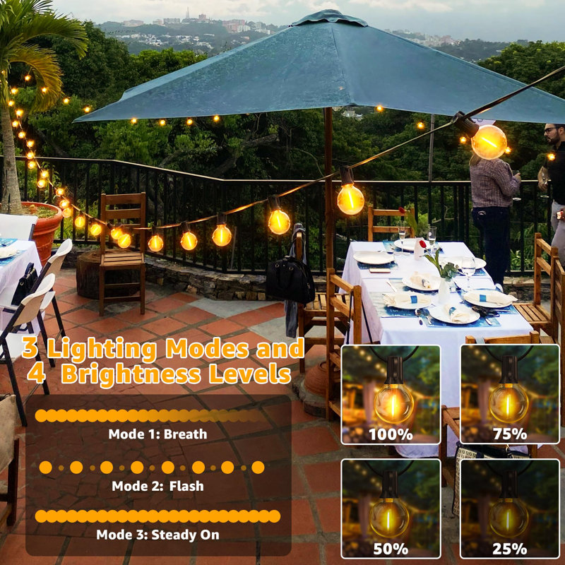 Almeer 3000cm 50 - Bulb Festoon Lights String Light (End to End Connectable)