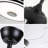 Bethane 42'' Ceiling Fan with LED Lights