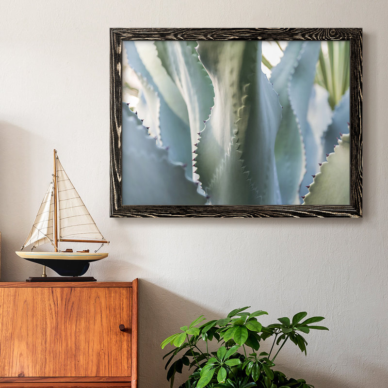 Blue Agave II, reproduction d'art sur toile, Noir, H 14 po x l 20 po