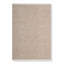 Sayulita Southwestern Area Rug in Heathered Natural/Ivory-75498513