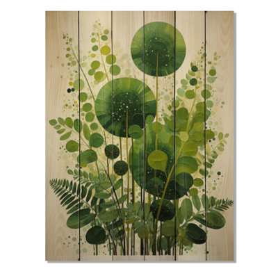 " Ferns Plant Timeless Elegance II "
