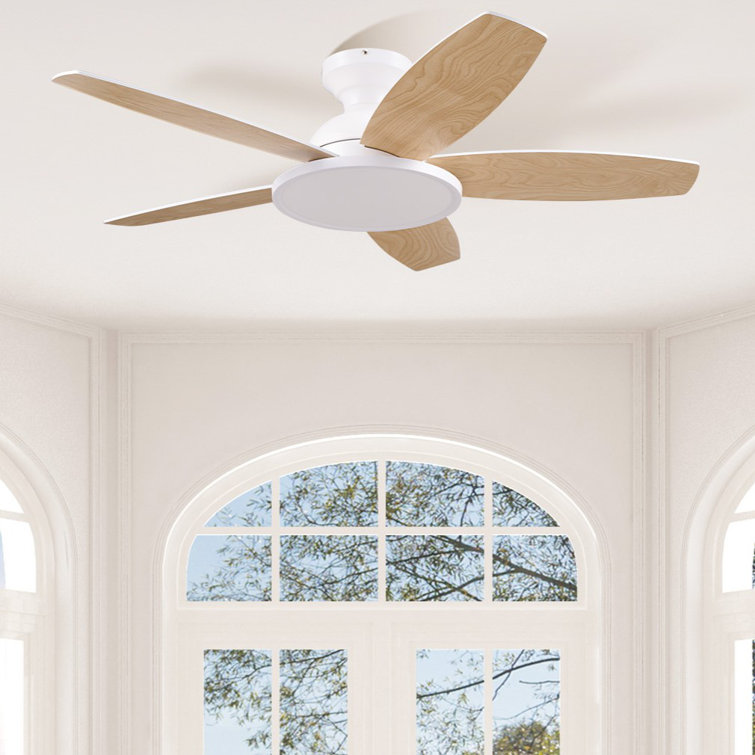 Low Profile 42" 5 - Blade Flush Mount Small Room Ceiling Fan with LED Light and Remote