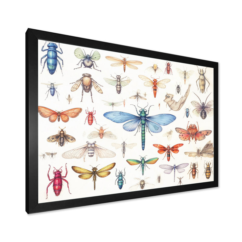 «Tiny Insect Wonders I», reproduction sur toile, H 30 po x l 40 po x P 1,5 po, Cadre simple noir