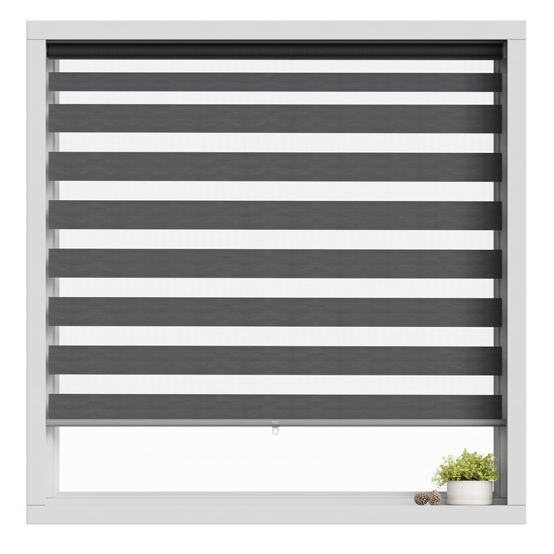 Store à enroulement semi-transparent Zebra, Gris, L 73 po x L 103 po