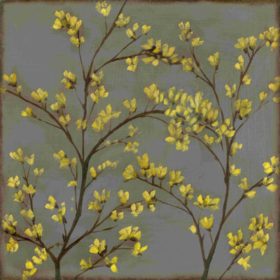 Forsythia II