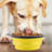Pet Bowl