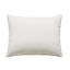 Theodosia Sham-52212220