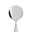 Stainless Steel Serving Spoon