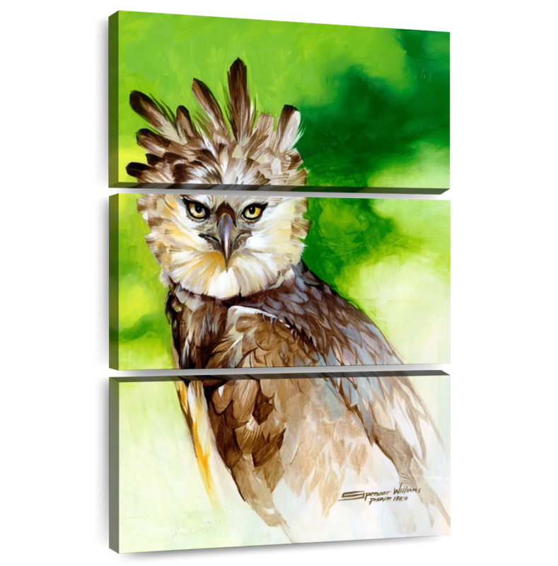 Brampt Harpy Eagle, 50" H x 32" W