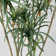 98'' Faux Dragon Tree Tree in Planter