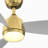 Annemijn 52" Indoor/Outdoor Ceiling Fan With LED Light Kit-2087995625