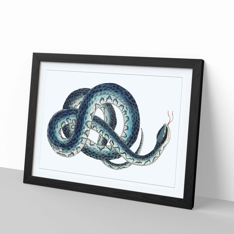 Blue Snake by George Shaw - Framed Print, Black, 40cm H x 60cm W x 2cm D