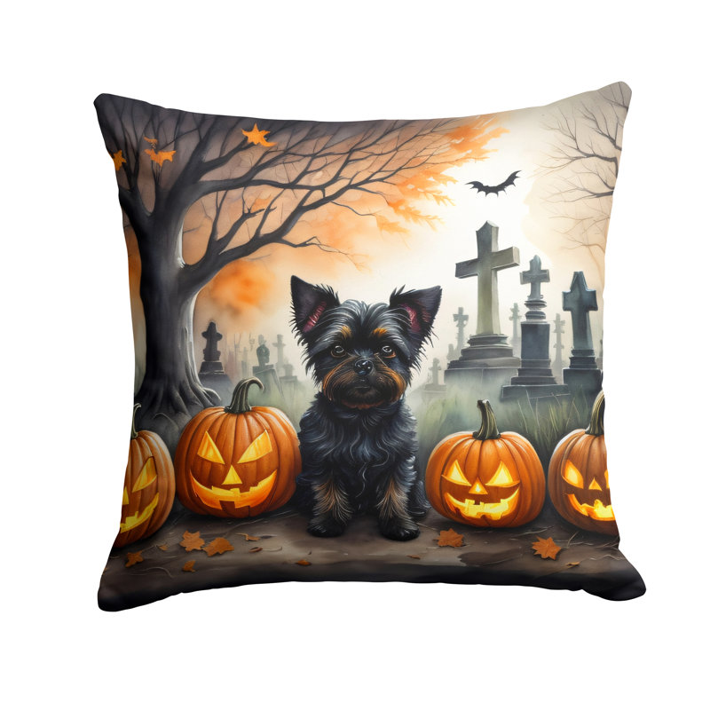  Other/No Pattern Throw Pillow, 14" x 14"