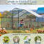 Emmeric Walk In Chicken Run-334501123-335317304