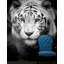 Panneau mural Tiger-235047940
