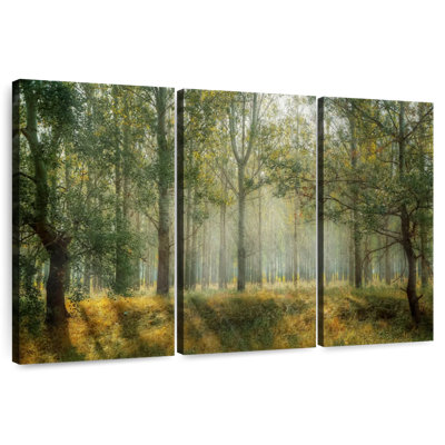 Paysage de forêt verte d'Alvord