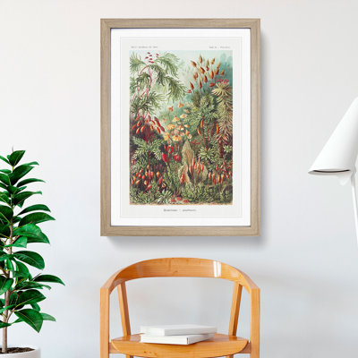 Flowers Growing Wild by Ernst Haeckel - Framed Print