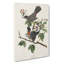 Cat Bird by John Audubon - Wrapped Canvas-55371690