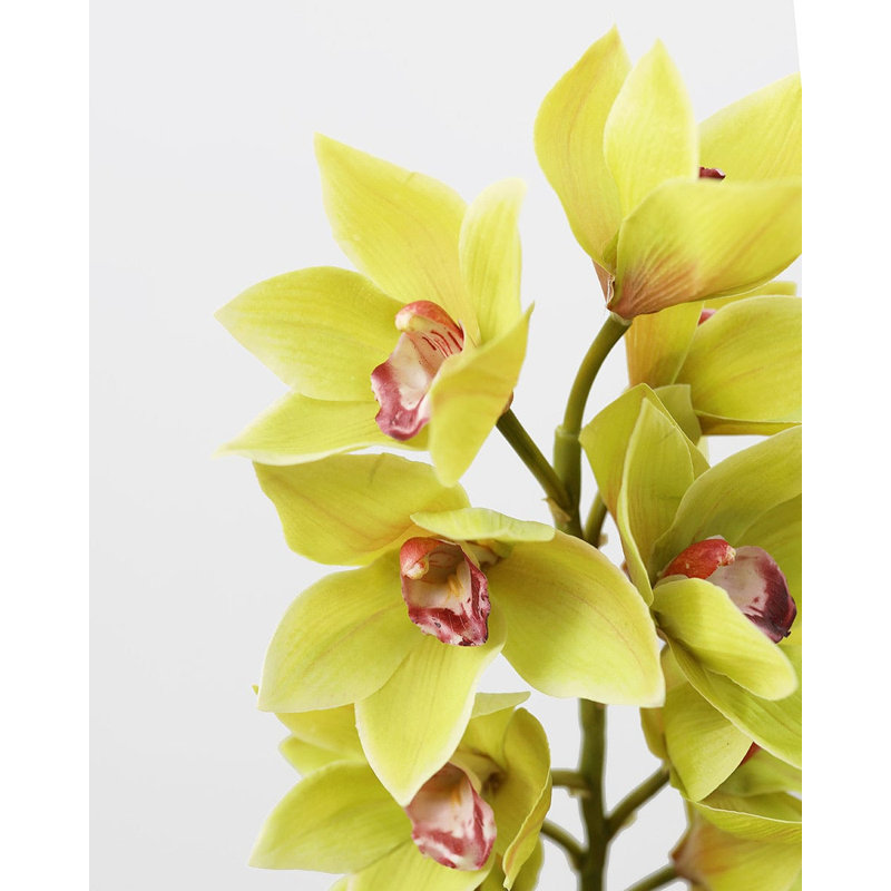 Vert cymbidium orchidée 41,5 po