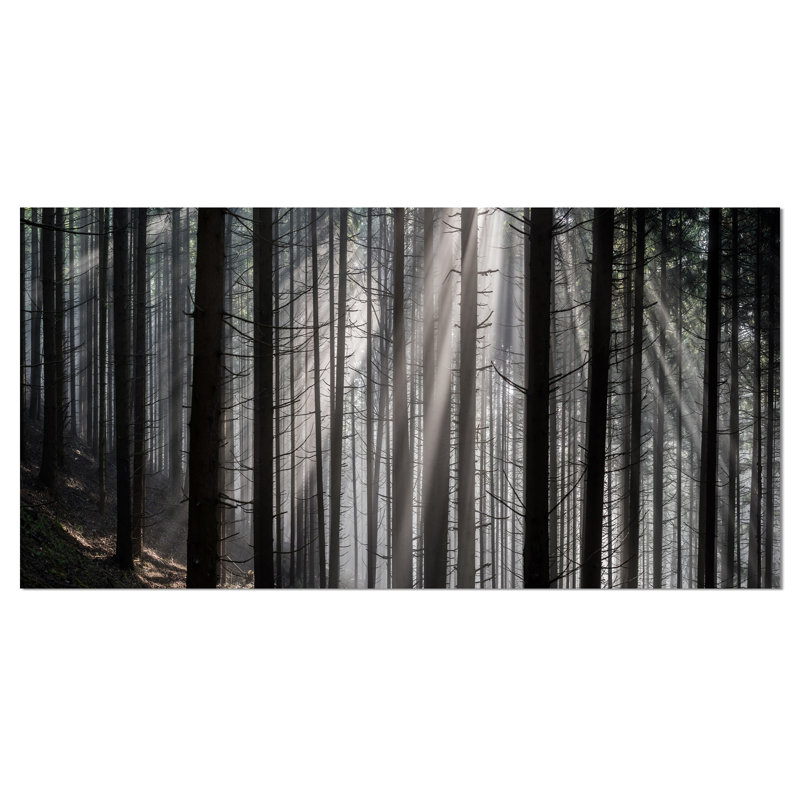 Reproduction de photo sur toile tendue, reproduction de photo sur toile tendue, H 28 x l 60 po x P 1 po