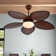 Hollenberg 52'' Ceiling Fan with LED Lights and Mute Motor