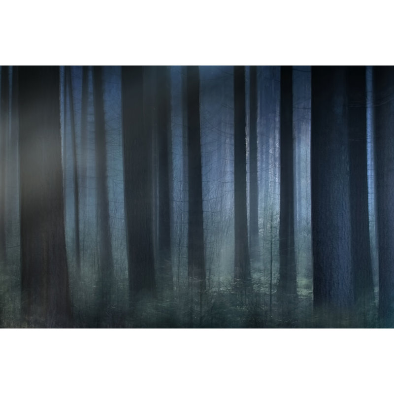Wrapped Canvas Print, 50.8 cm H x 76.2 cm W