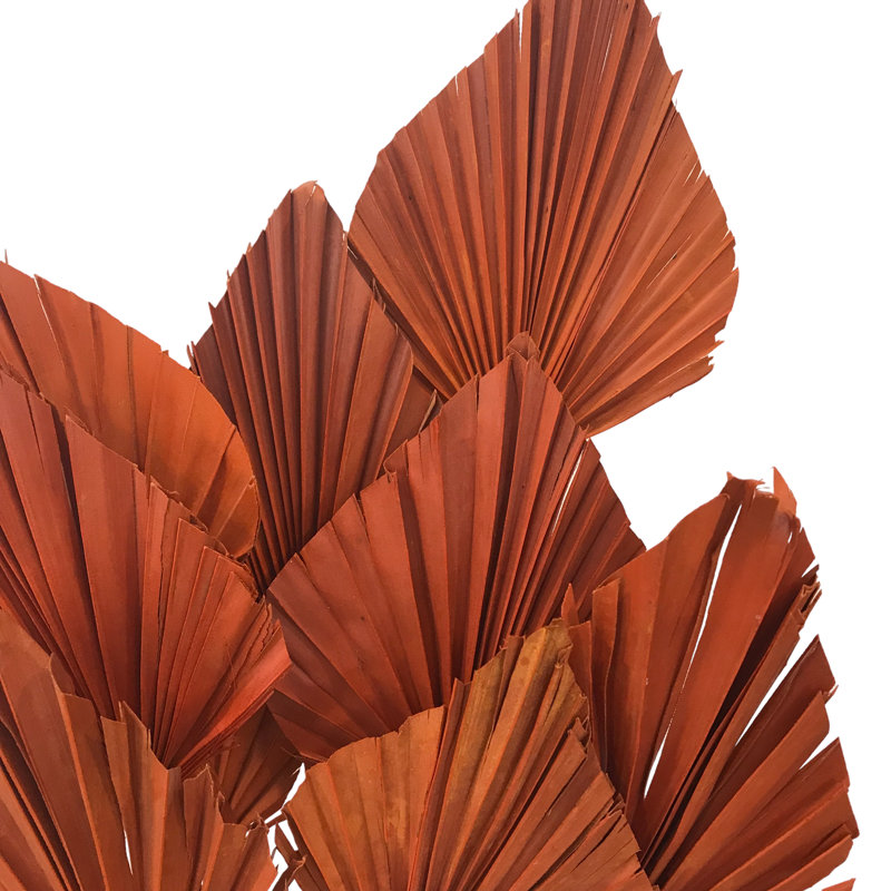 Fredela Arrangement, Salmon/Orange