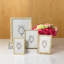 Remy Metal Picture Frame-43448908-43448911