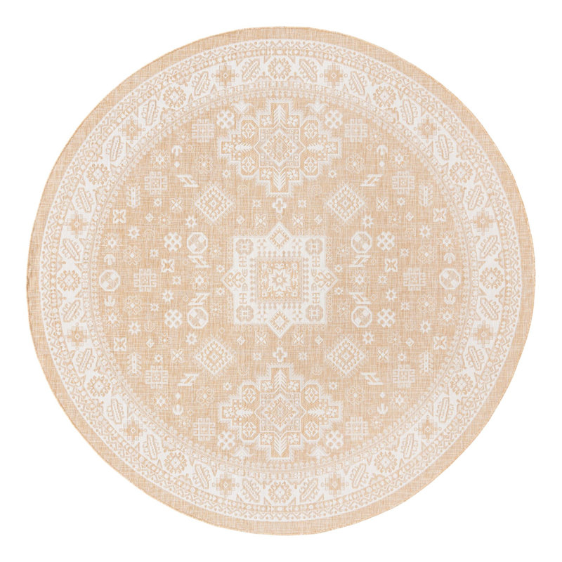 Danera Oriental Indoor / Outdoor Rug, Round 10'