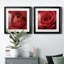 " Sincere Red " 2 - Pieces-61458078-61458077
