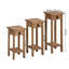 Bridewell Plant Stand - Set of 3