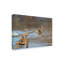 Art sur toile «ologia bologi »-109335249